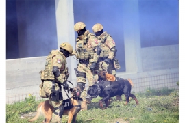 "Ataci na Policiju RS sa bh. nivoa"