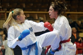Srijeda zadnji voz za bh. karate