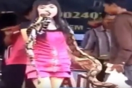 Pop zvijezda preminula usred koncerta nakon ujeda zmije (VIDEO)