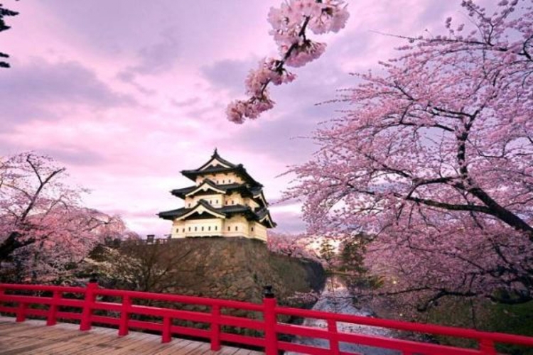 Japan, savršena proljećna destinacija (FOTO)