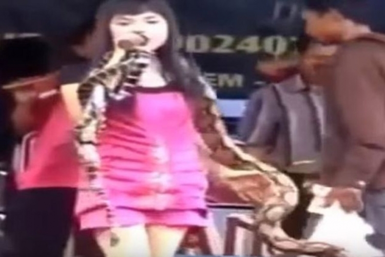 Pop zvijezda preminula usred koncerta nakon ujeda zmije (VIDEO)