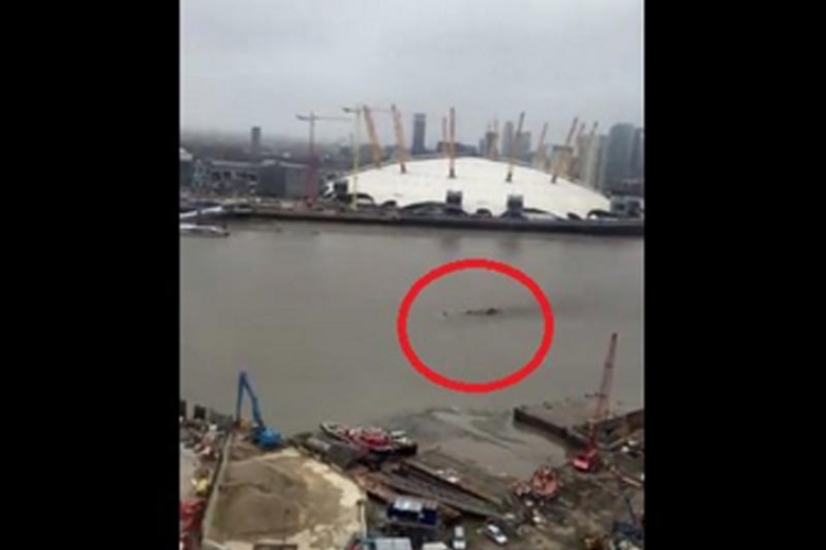Snimak misterioznog bića uznemirio građane Londona (VIDEO)