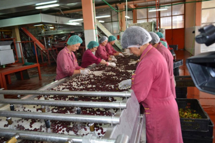 Bosnaplod kupuje opremu vrijednu 5 miliona maraka