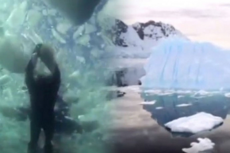Oni su prvi koji su zaronili ispod leda Antartika (VIDEO)