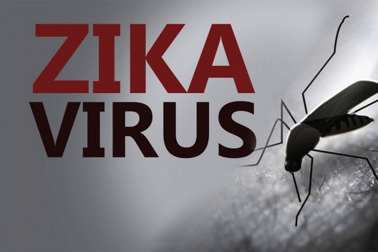 U Kanadi prvi slučaj prenosa virusa zika putem spolnog odnosa