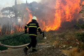 Paleći korov izazvali požare