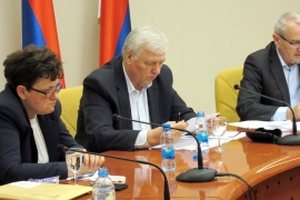 Pavić: Samostalno na lokalne izbore za odbornike