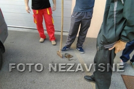 Ubijena zmija u centru Banjaluke (FOTO)