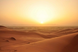 Globalno zagrijavanje i visoke temperature Arape sele u BiH