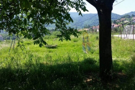 Visoka trava  vapi za kosidbom