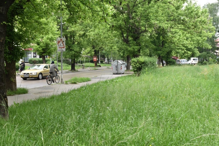Kosidbu po naseljima usporavale padavine: Trava pola metra
