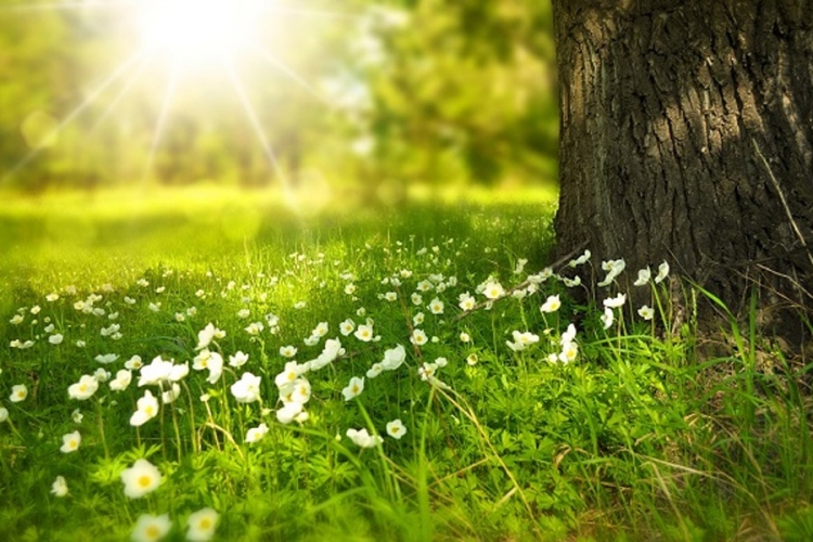Sunčano uz temperaturu do 24 stepena