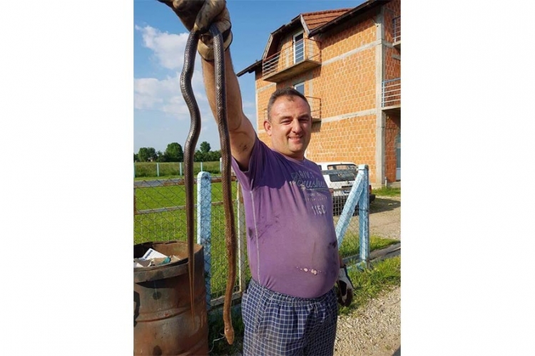 Laktaši: U dvorištu ubio zmiju od dva metra