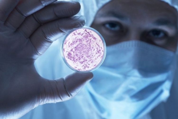 Pojavila se superbakterija otporna na sve antibiotike