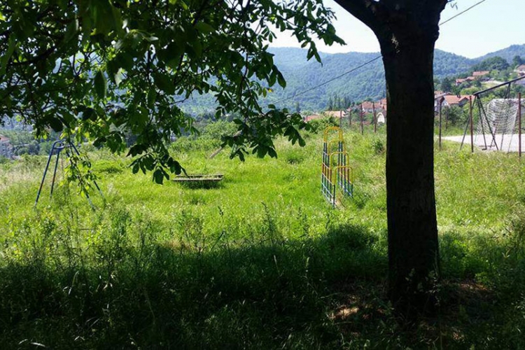 Visoka trava  vapi za kosidbom