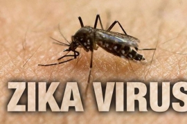 Zika potvrđena u Sloveniji, ali ne kod odbojkaša
