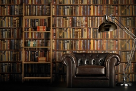 Bibliotekari sa Kosmeta godinama muku muče sa dopremanjem knjiga iz ...