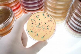 Britanci razvili model koji predviđa epidemije