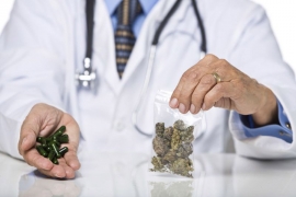 Marihuana u medicinske svrhe legalna u Makedoniji