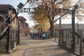 Berlin: Bivši čuvar u Aušvicu osuđen na pet godina zatvora