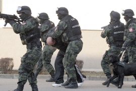 U akciji "Kruna" uhapšeno osam osoba: Falsifikovali dokumenta za ...