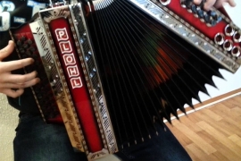 Rezultat za Ginisovu knjigu rekorda: Slovenac harmoniku svirao 50 sati ...