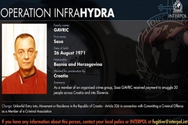 Interpol uhapsio 26 osoba među njima i Sašu Gavrića iz BiH