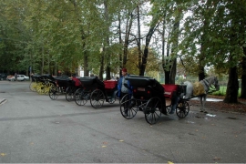 Fijakeri u Sarajevu moraju biti crne boje