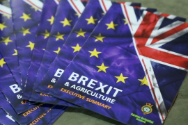 Gabrijel: EU neće propasti zbog Brexita