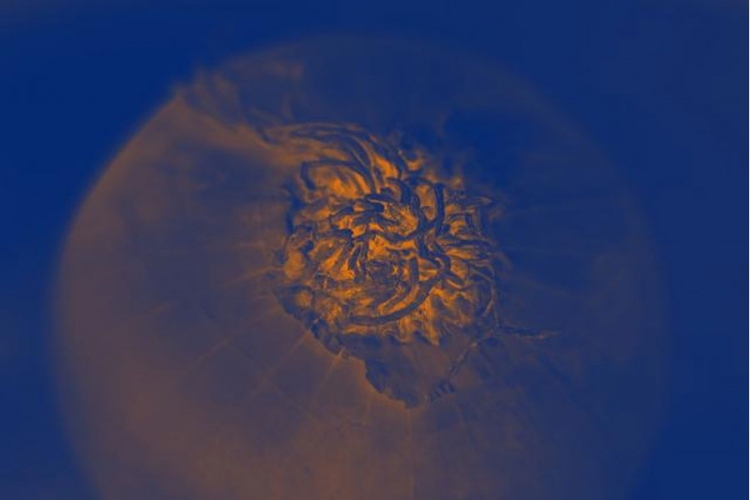 Da li je naše Sunce ukralo devetu planetu?


