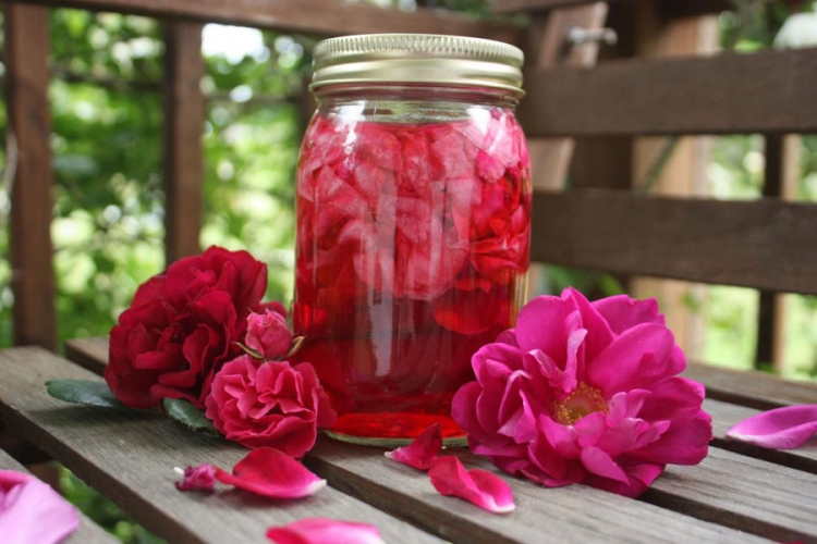 Bakin recept za sirup od ruže