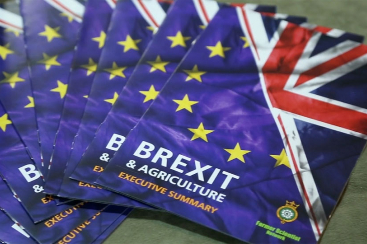 Gabrijel: EU neće propasti zbog Brexita