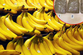 Pronađeno 2,3 tona kokaina u bananama