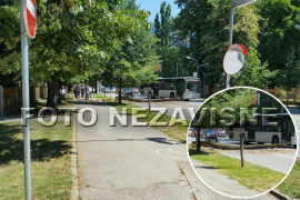 Palo drvo u centru Banjaluke, nema povrijeđenih (FOTO)