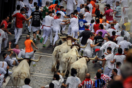 Pamplona: Bik usmrtio španca