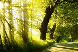 Sunčano i vruće, poslije podne moguća kiša, temperatura do 38