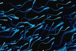 Zika virus preživio 93 dana u spermi
