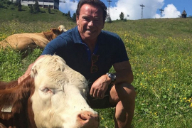 Ovo ne može ni Čak Noris: Švarceneger ispravio toranj u Pizi (FOTO)