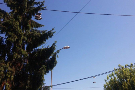 Patike na žicama zbunjuju građane u banjalučkoj Vilsonovoj ulici
