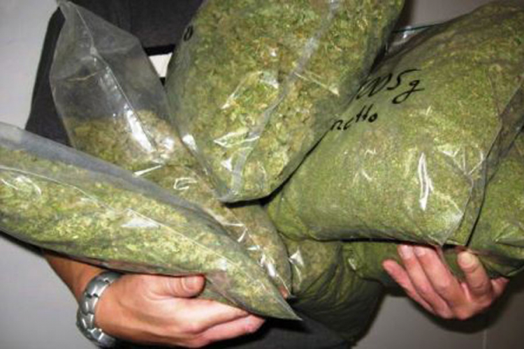 U Hrvatskoj uhapšen Srbin sa 33 kg marihuane