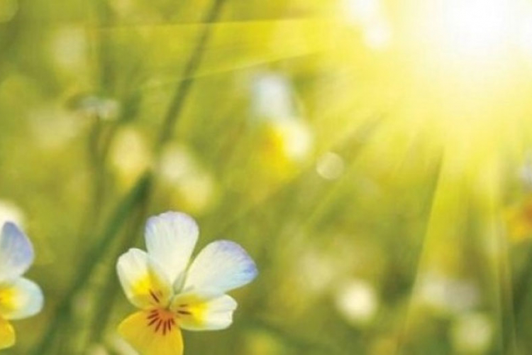 Sunčano u BiH, temperatura do 35 stepeni