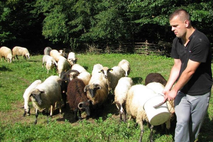 Šabić pola dana ljekar, pola dana pastir (FOTO,VIDEO)