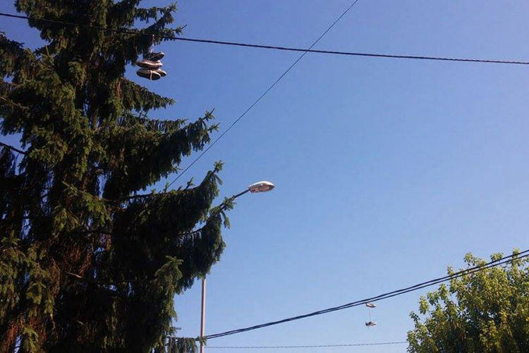 Patike na žicama zbunjuju građane u banjalučkoj Vilsonovoj ulici

