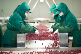 Povećanje industrijske proizvodnje za četiri odsto
