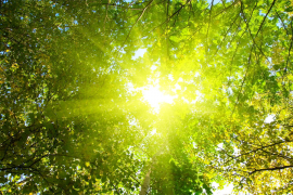 Sunčano i veoma toplo, temperatura do 34