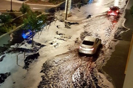 Francuska: Protestanti razbijali, vino teklo u potocima