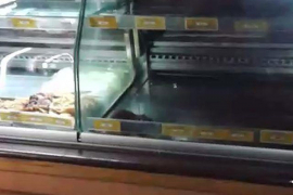 Beograd: Pacov u vitrini u pekari (VIDEO)