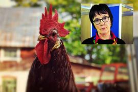 Rudan: Sram me zemlje u kojoj je Milanović bio premijer
