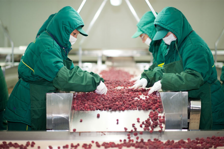 Povećanje industrijske proizvodnje za četiri odsto
