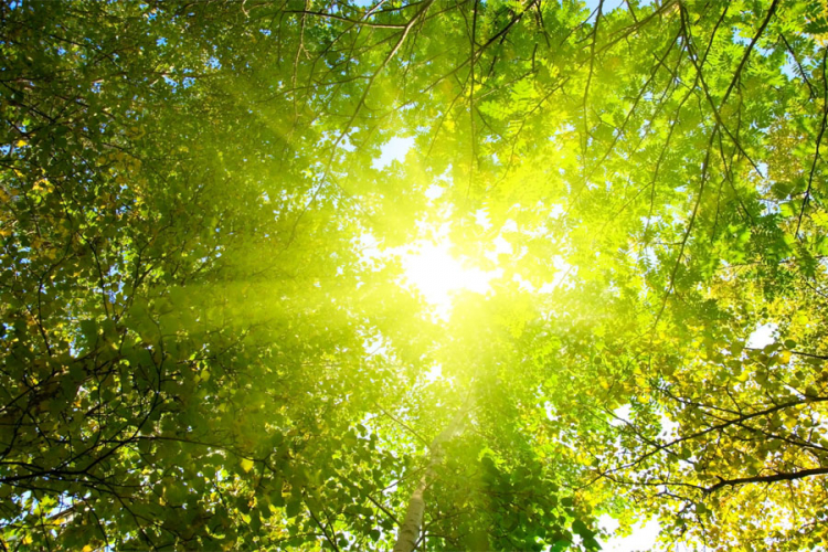 Sunčano i veoma toplo, temperatura do 34